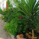 Casa Dos Sonhos Glamping 팜스테이