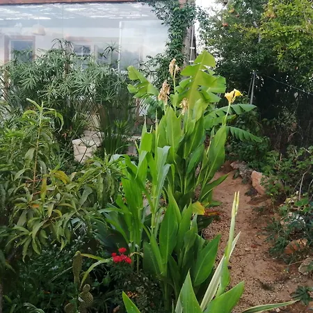 Casa Dos Sonhos Glamping 라고아