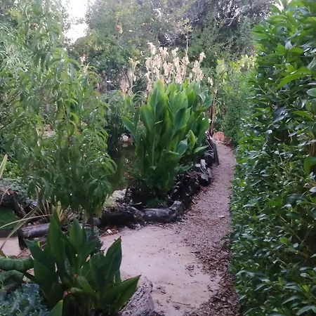 Vakantieboerderij Casa Dos Sonhos Glamping Lagoa (Algarve)
