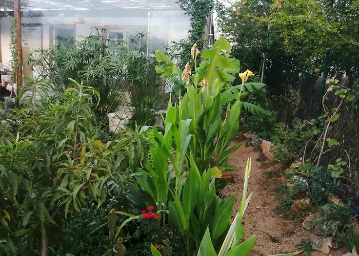 Casa Dos Sonhos Glamping Lagoa