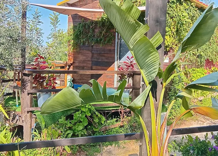 Casa Dos Sonhos Glamping Lagoa