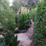 Farm stay Casa Dos Sonhos Glamping Lagoa (Algarve)