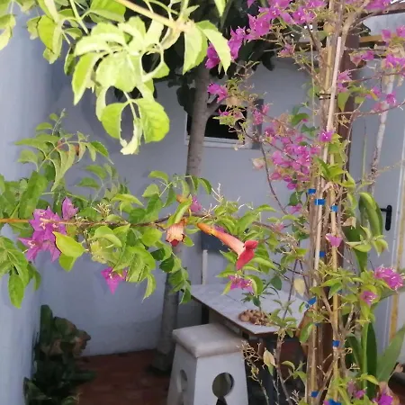 Gospodarstwo agroturystyczne Casa Dos Sonhos Glamping