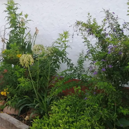 Casa Dos Sonhos Glamping Gospodarstwo agroturystyczne Lagoa (Algarve)