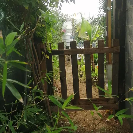 Gospodarstwo agroturystyczne Casa Dos Sonhos Glamping *