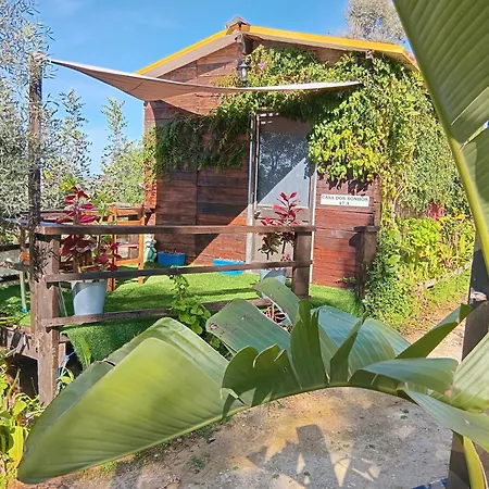 Casa Dos Sonhos Glamping Κατάλυμα σε φάρμα Lagoa (Algarve)