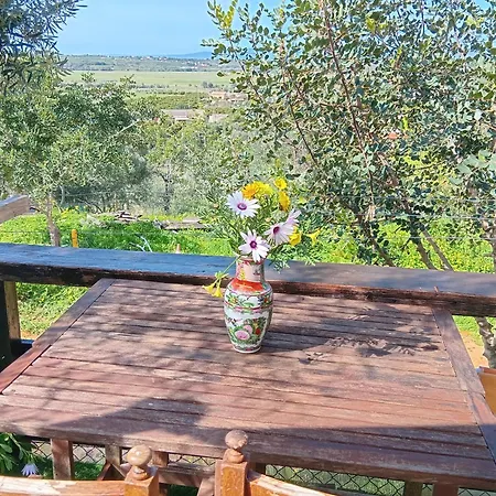 Glamping Casa Dos Sonhos