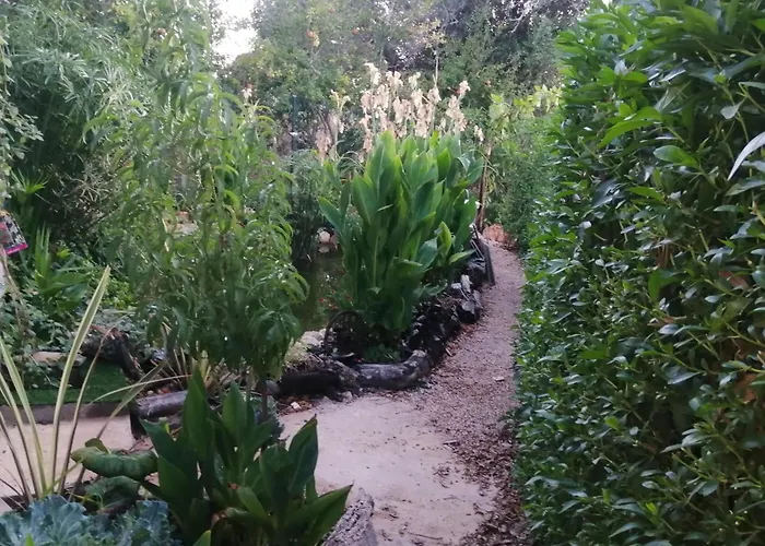 Farm stay Casa Dos Sonhos Glamping Lagoa (Algarve)