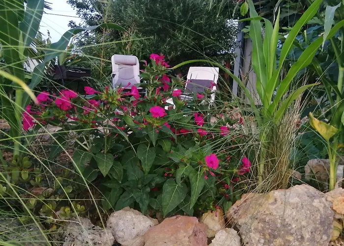 Casa Dos Sonhos Glamping Lagoa (Algarve)