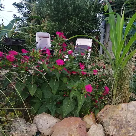 Casa Dos Sonhos Glamping Лагоа