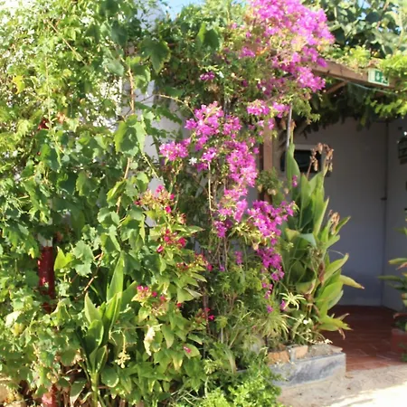 Casa Dos Sonhos Glamping Фермерский дом *