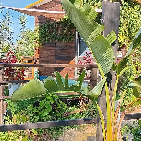 Casa Dos Sonhos Glamping Лагоа